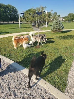 Cardinal Bark Park