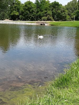Brownstown Public Park