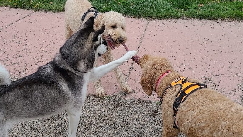 Brownstown Dog Park - Brownstown Township,