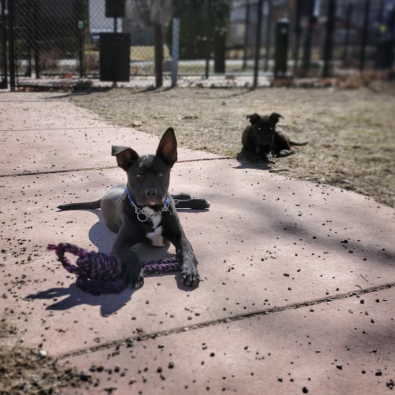 Brownstown Dog Park - Brownstown Township, MI