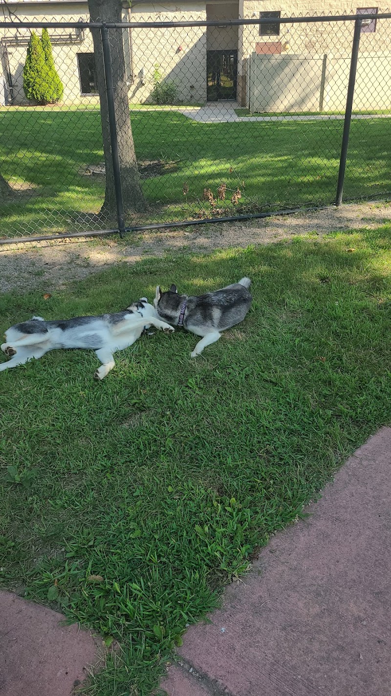 Brownstown Dog Park - Brownstown Township, MI