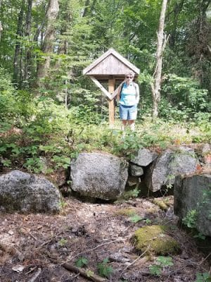 Piscataquis County Williamsburg Forest