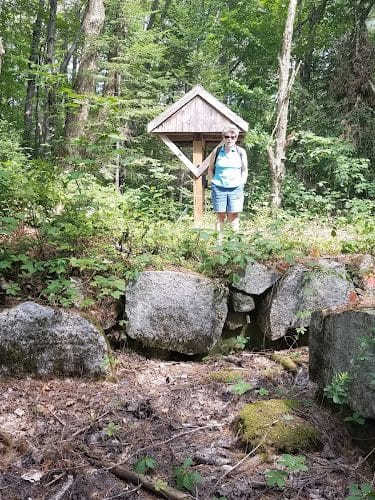 Piscataquis County Williamsburg Forest