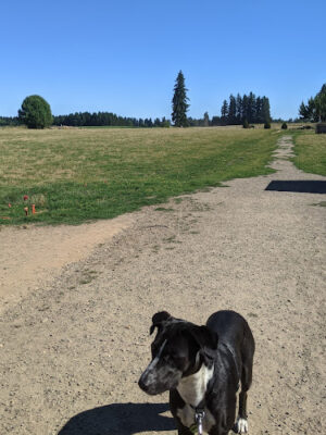 Lucky Memorial Dog Park