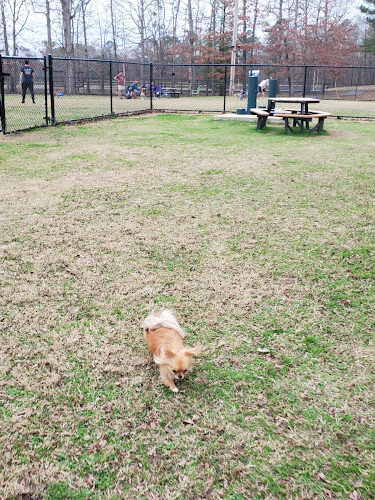 Bark Park