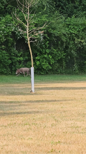 Field of Dreams Dog Park
