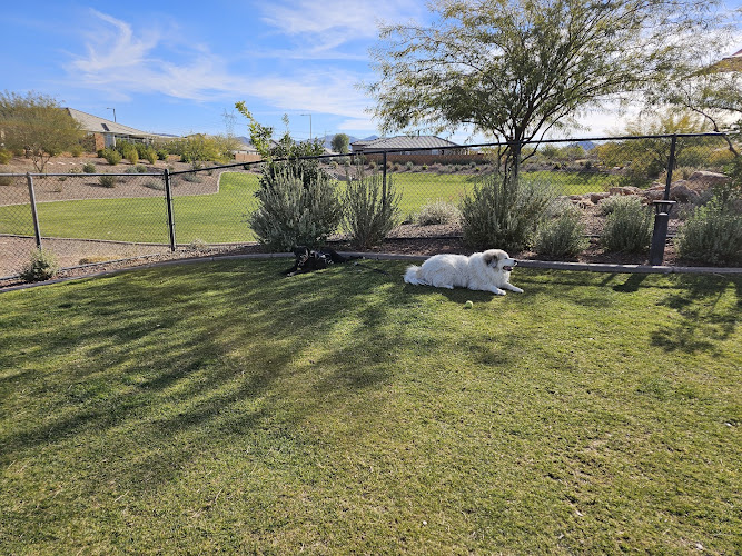 Dog Park - Buckeye, AZ