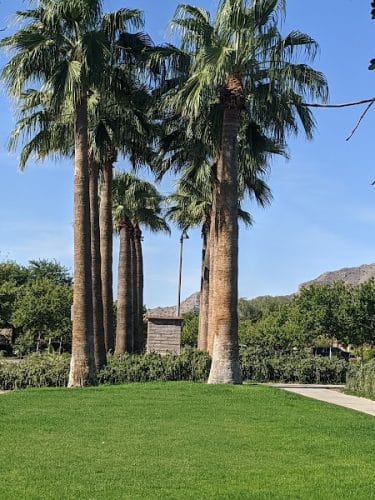 Hamilton's Run Park