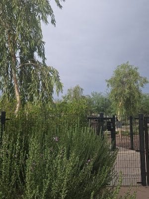 Marketside Dog Park at Verrado