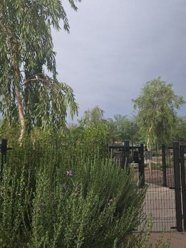 Marketside Dog Park at Verrado