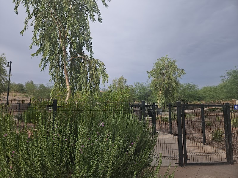 Marketside Dog Park at Verrado - Buckeye, AZ