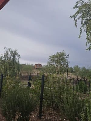 Marketside Dog Park at Verrado