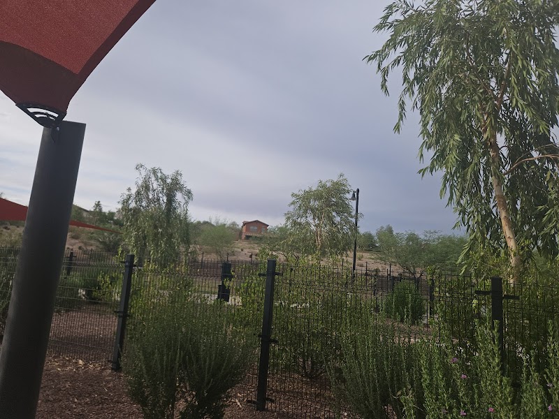 Marketside Dog Park at Verrado - Buckeye, AZ