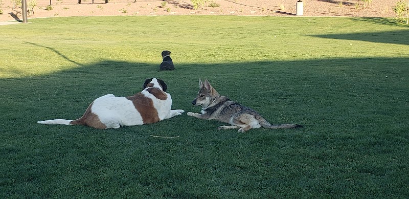 Marketside Dog Park at Verrado - Buckeye, AZ