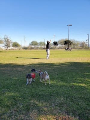 Sundance Park - Buckeye, AZ