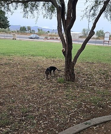 Sundance Park - Buckeye, AZ