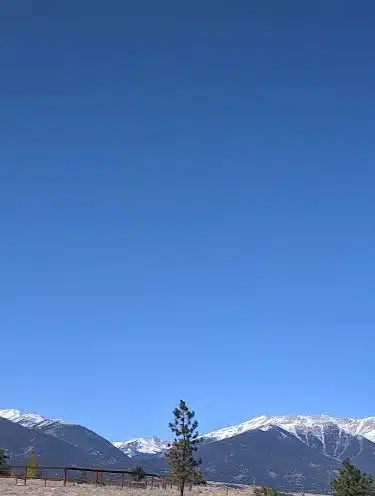 Riverpark Dog Park - Buena Vista, CO