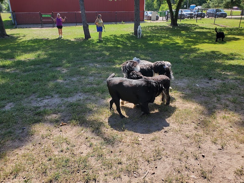 Gary Mattson Dog Park - Buffalo, MN
