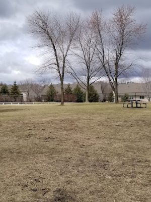 Gary Mattson Dog Park