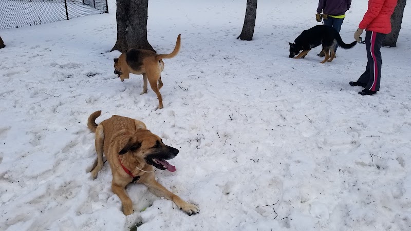 Gary Mattson Dog Park - Buffalo, MN