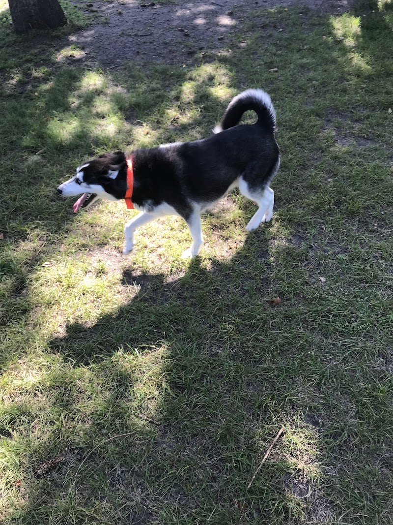 Gary Mattson Dog Park - Buffalo, MN