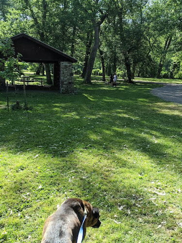 Bark Park