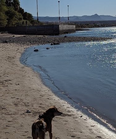 Bullhead City Dog Park - Bullhead City, AZ