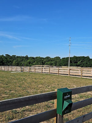 Idlewild Dog Park