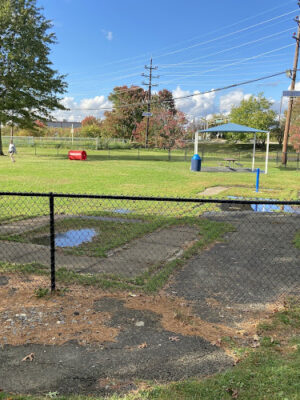 Burlington Dog Park