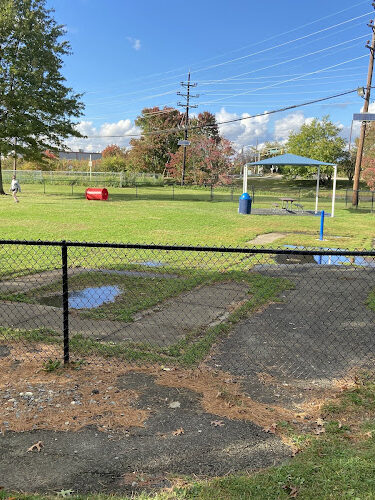 Burlington Dog Park
