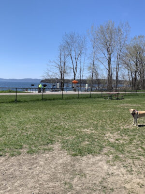 North Waterfront Park and Dog Park