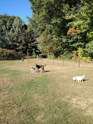 Starr Farm Dog Park