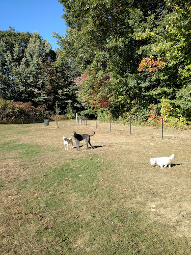 Starr Farm Dog Park