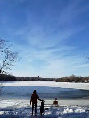Alimagnet Dog Park