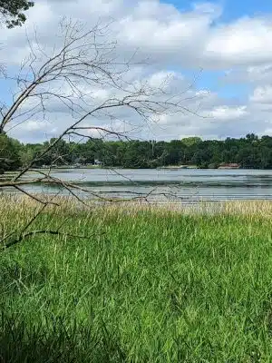 Alimagnet Dog Park