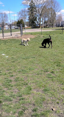 Railroad Park