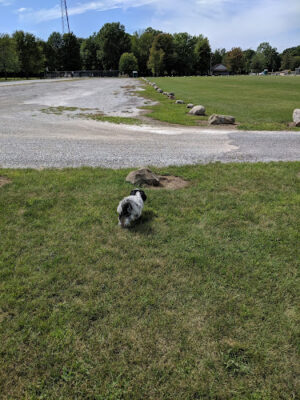 Taymouth Township Park