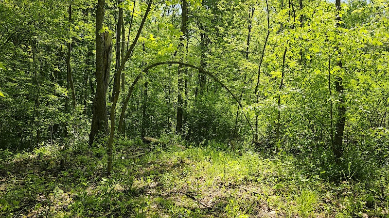 Taymouth Township Park - Burt, MI