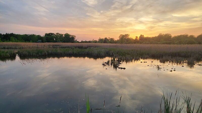 Kelly Lake Park - Burton, MI