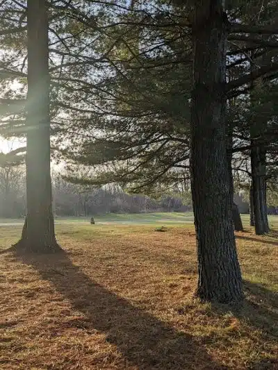 Kelly Lake Park - Burton, MI