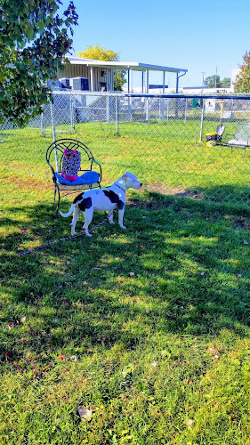 Humane Society-Genesee County