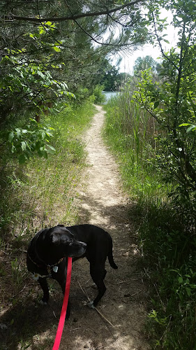 Kelly Lake Park
