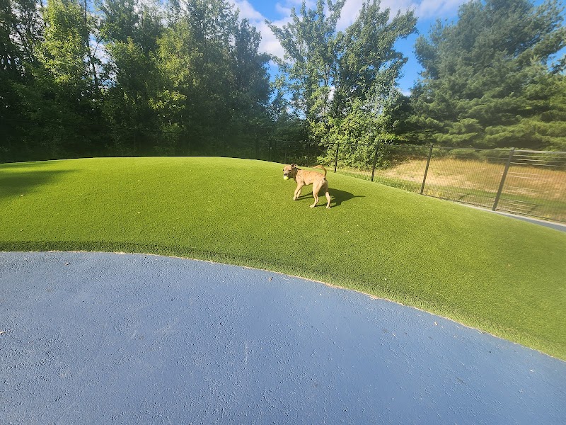 Dog Park - Burtonsville, MD