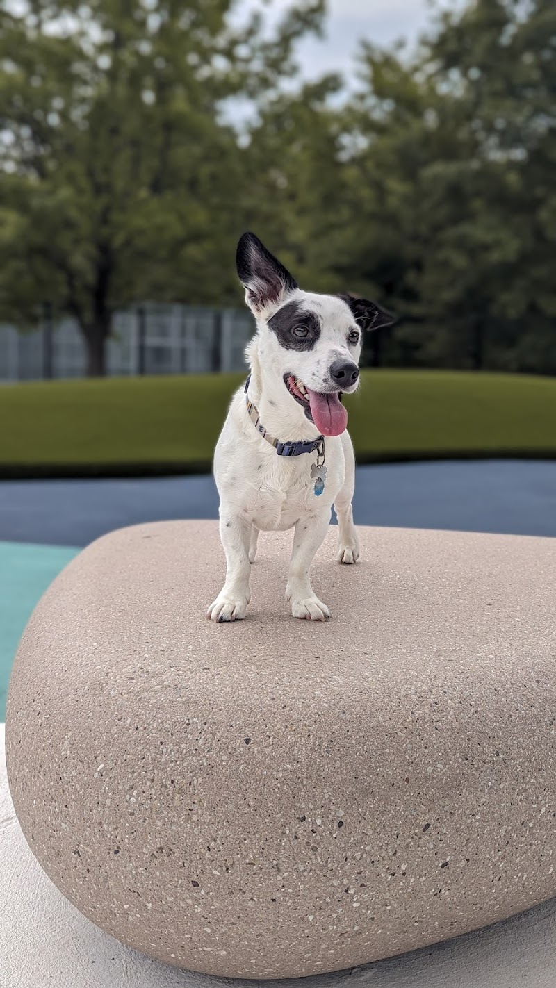 Dog Park - Burtonsville, MD