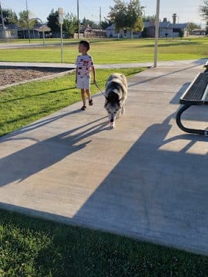 Buttonwillow Recreation & Park District - Buttonwillow, CA