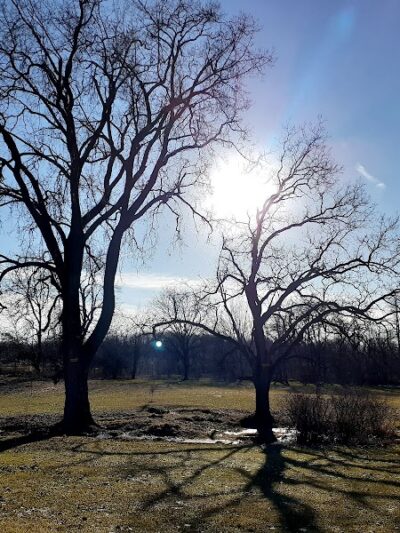 Brewer Park - Byron Center, MI