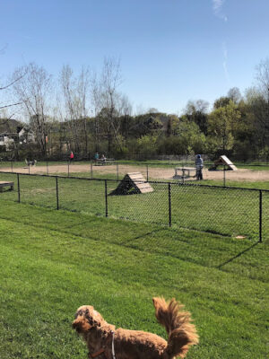Whistlestop Park