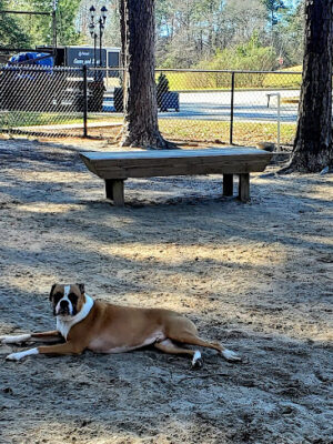 Harvest Bark Park