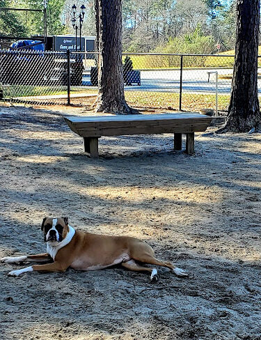 Harvest Bark Park