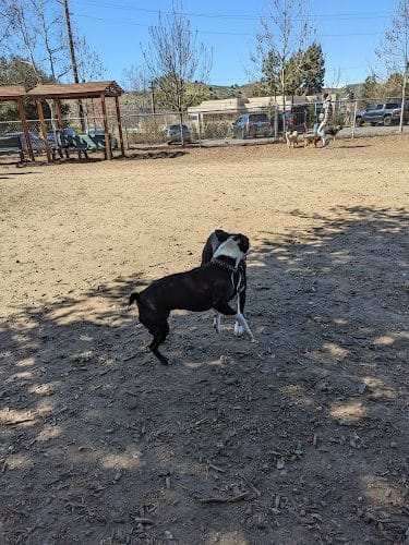 Calabasas Bark Park - Calabasas, CA
